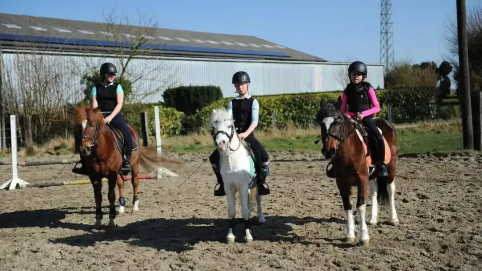 Le manège Loiseaux dévoile ses prochains stages d’équitation à Rèves