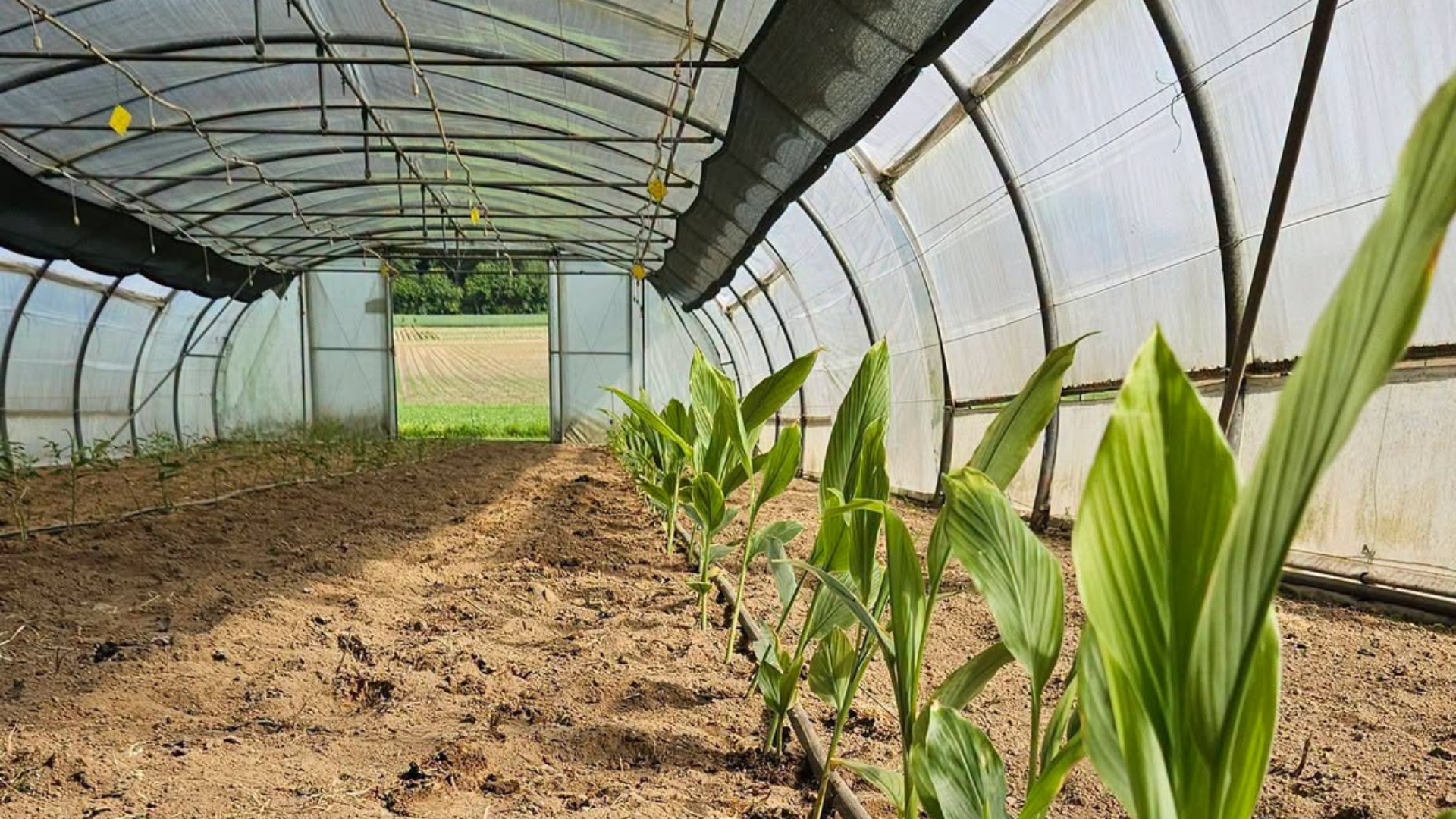 À Villers-Perwin, casépian récolte les saveurs de la saison