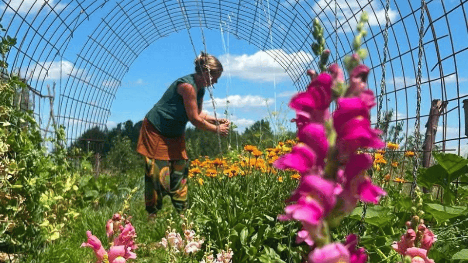 Fleur de la terre